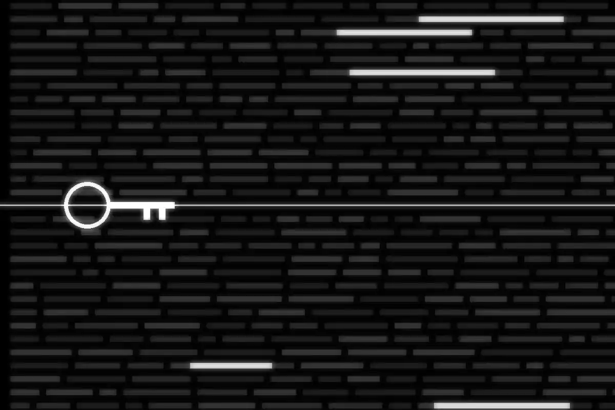 Rows of identity records with a single key cutting across them, illustrating the Denmark CPR breach through a trusted third party's access